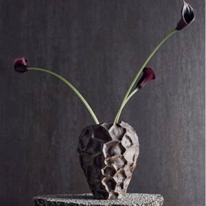 Vase Soil